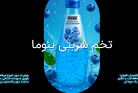 اسلاید 1